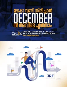 december-Best Digital Marketer in Malappuram